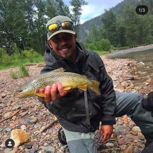 Meet your Posher, Cody